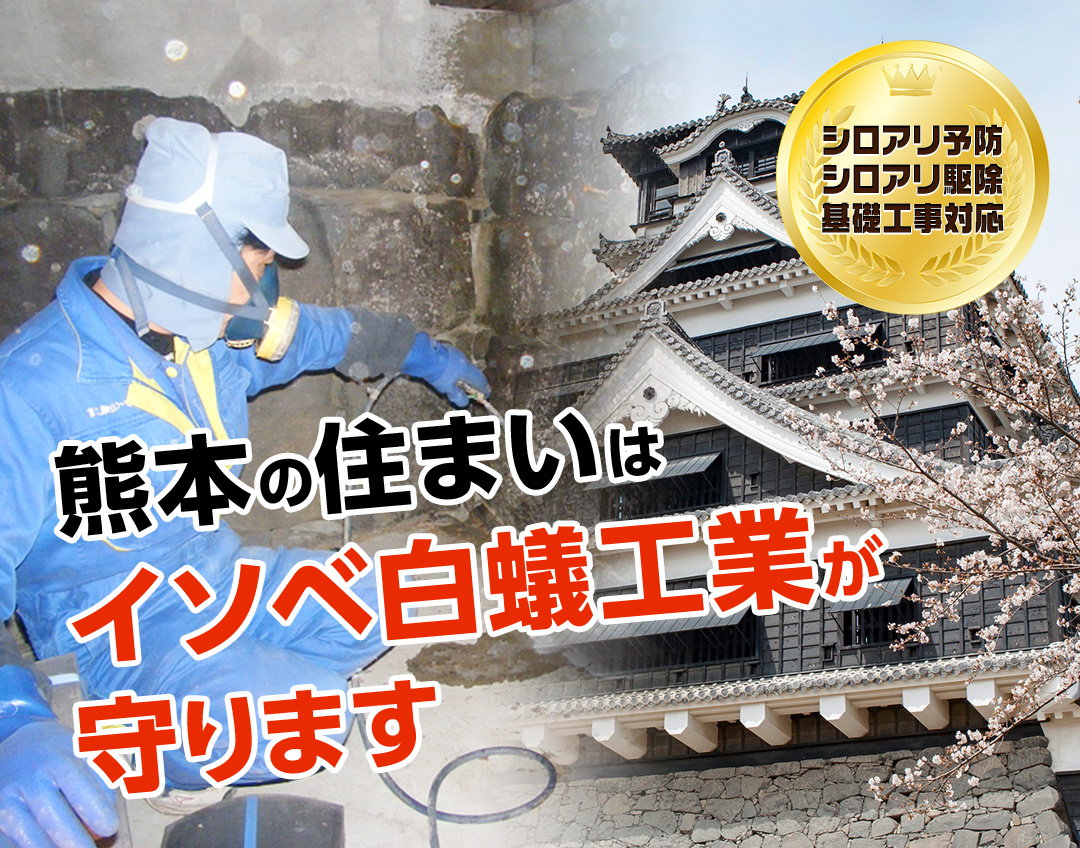 熊本のシロアリ予防 駆除の専門家 有限会社イソベ白蟻工業